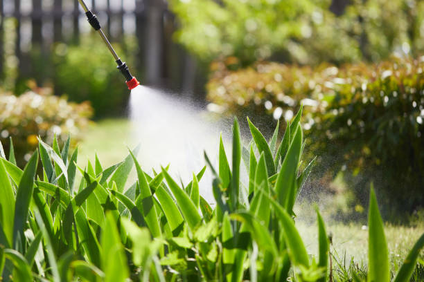 Tamper-Resistant Bait Stations for Rodents in Blossburg