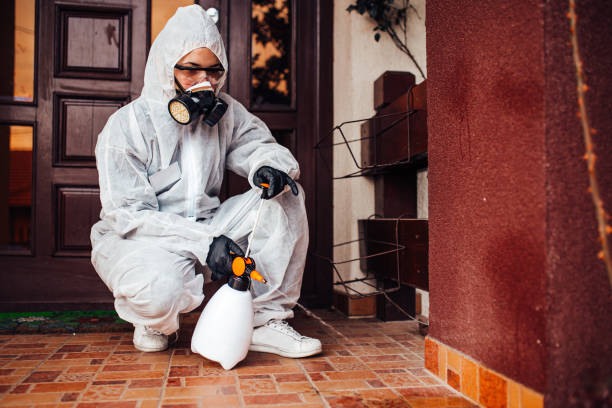 Attic and Crawl Space Rodent Treatment in Blossburg