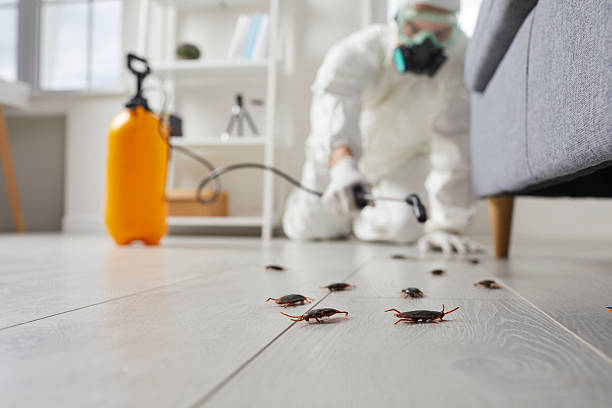 Commercial Rodent Management in Blossburg